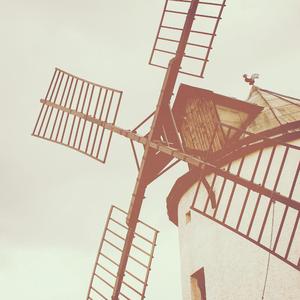 白峰美羽演检察官的背景故事
